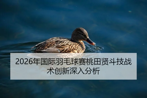 nian-guo-ji-yu-mao-qiu-sai-tao-tian-xian-dou-ji-zhan-shu-chuang-xin-shen-ru-fen-xi-2-533.jpg